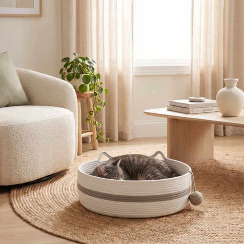 Grey cat dozing in the woven rope cat bed on a jute rug in a bright minimalist living room