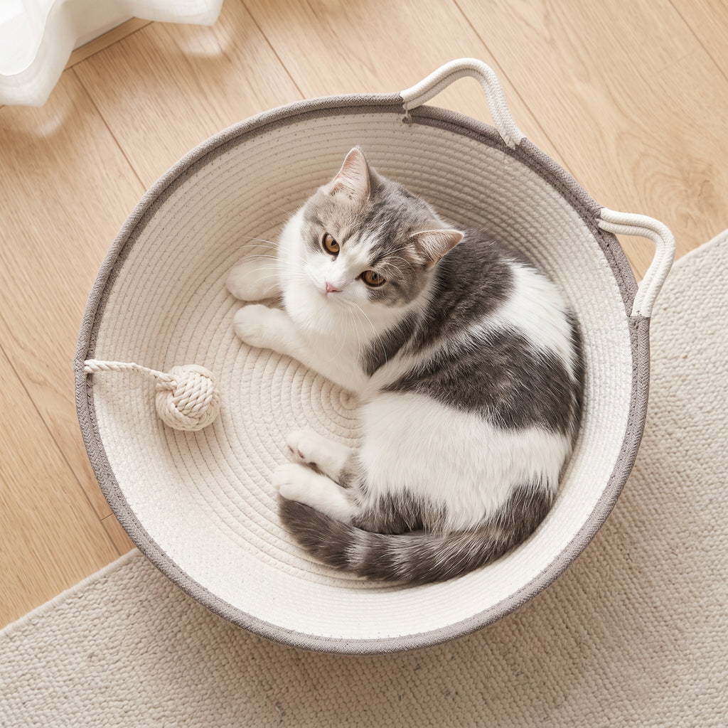 Overhead view of a grey and white cat curled inside the round rope bed, showing how much room it has