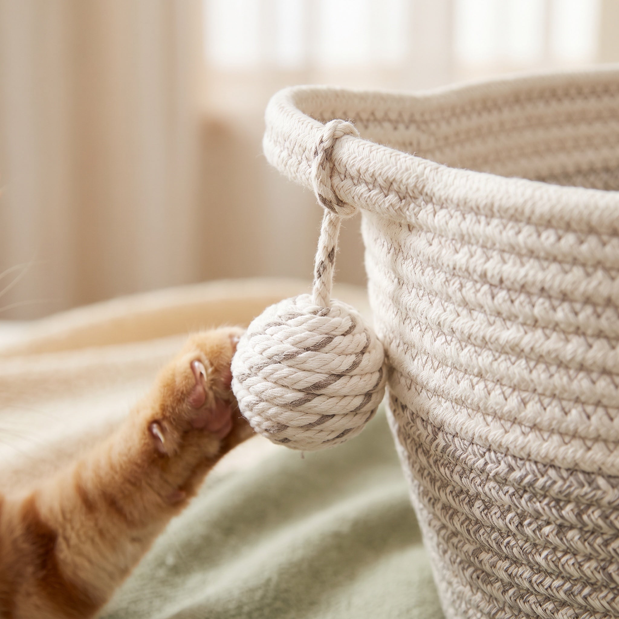 Cat batting at the woven cotton rope play ball hanging from the rim of the bed